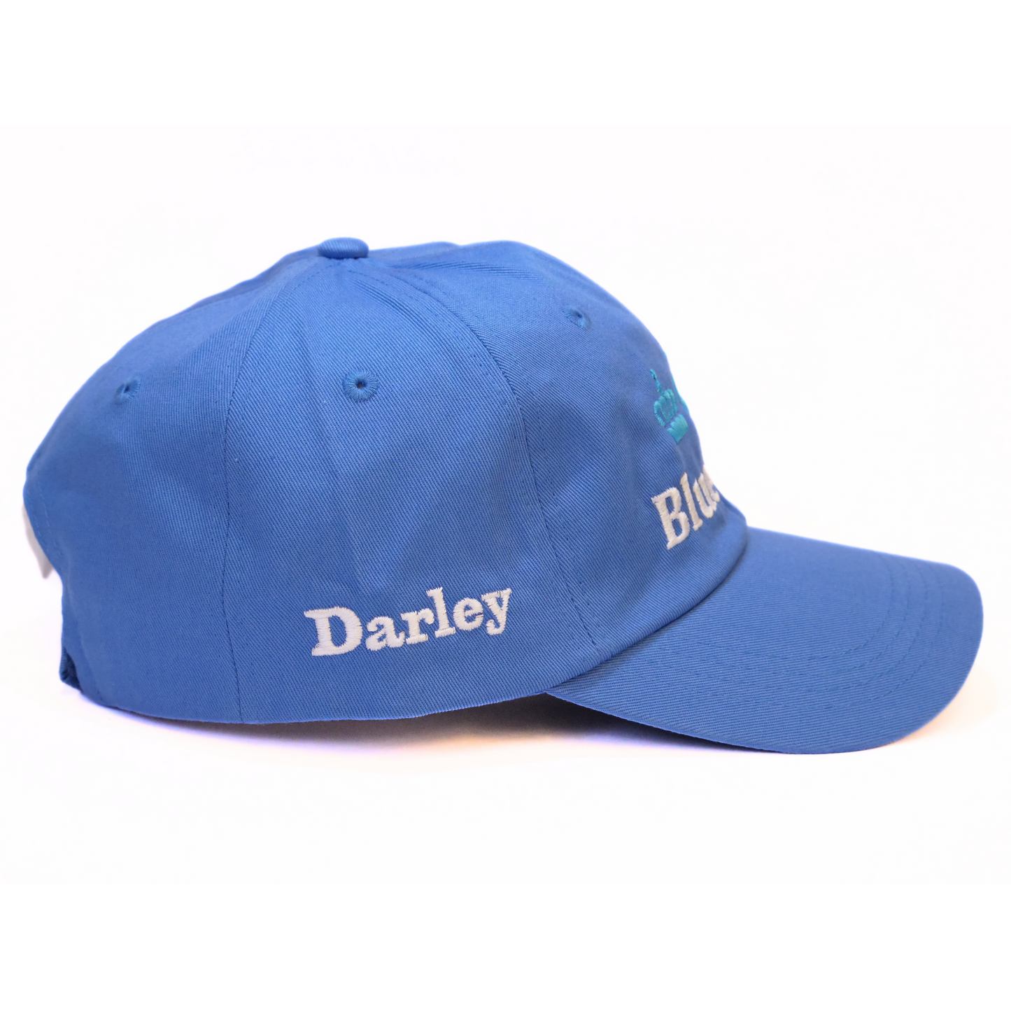 Blue Point Baseball Cap - Darley