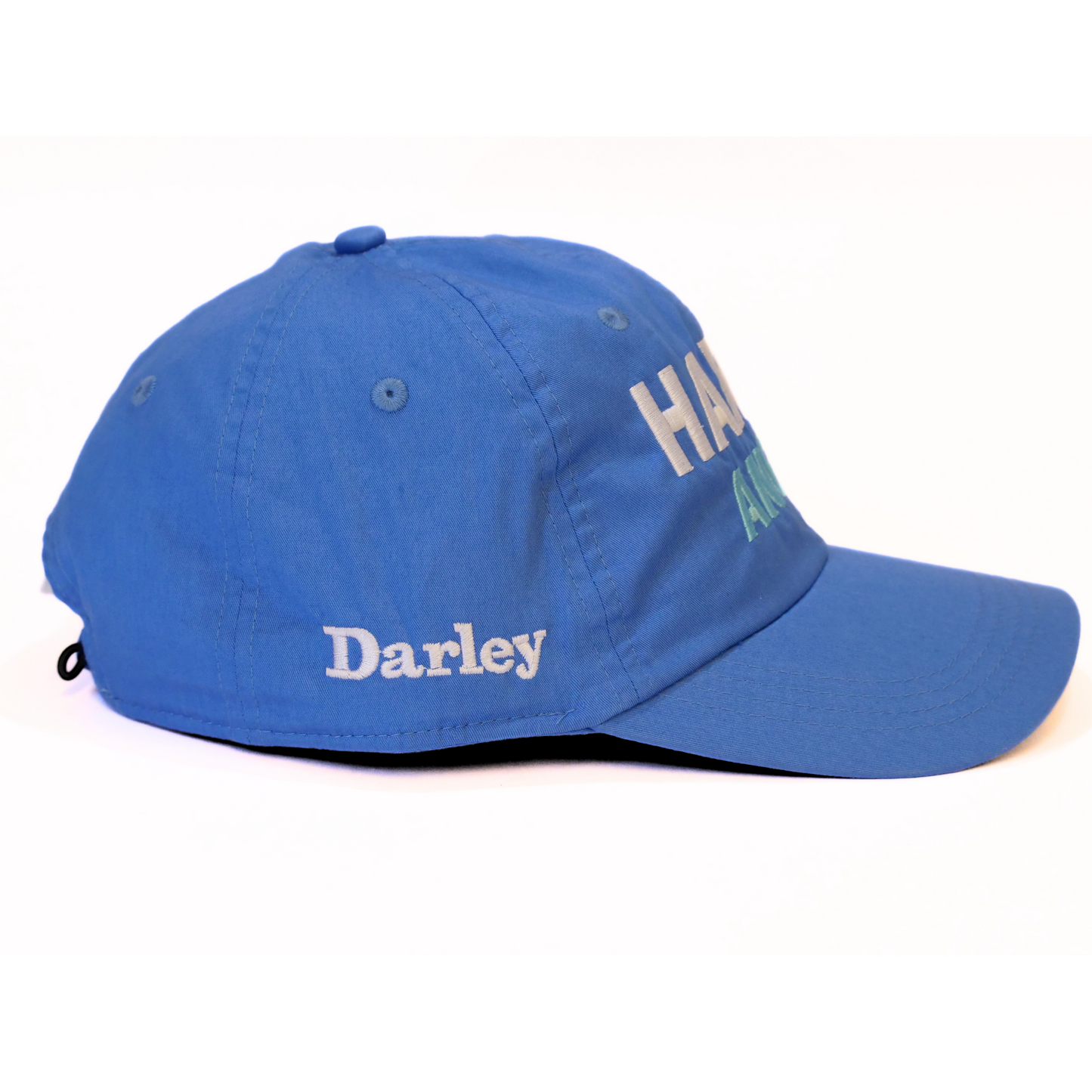 Harry Angel Baseball Cap - Darley