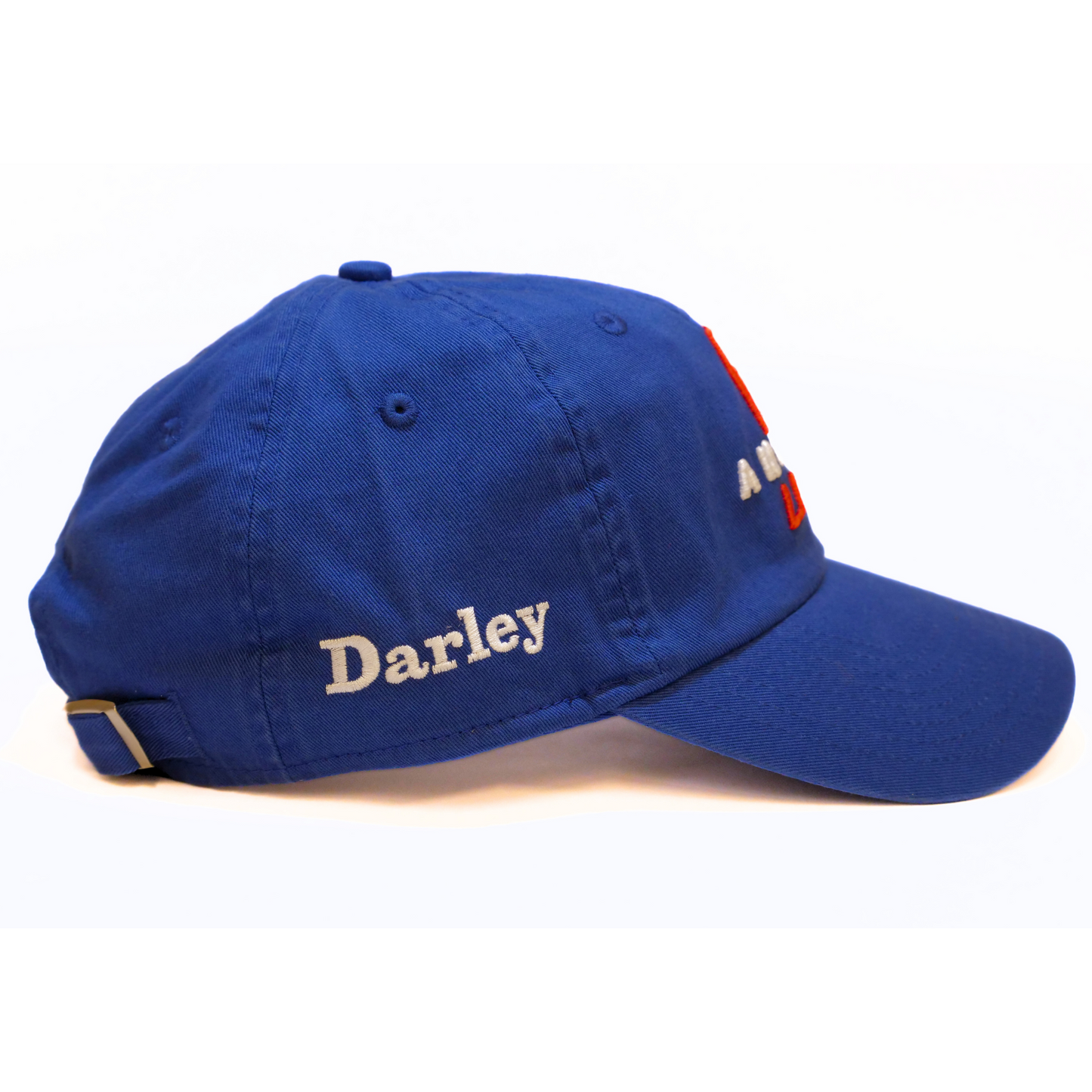 Anamoe Baseball Cap - Darley