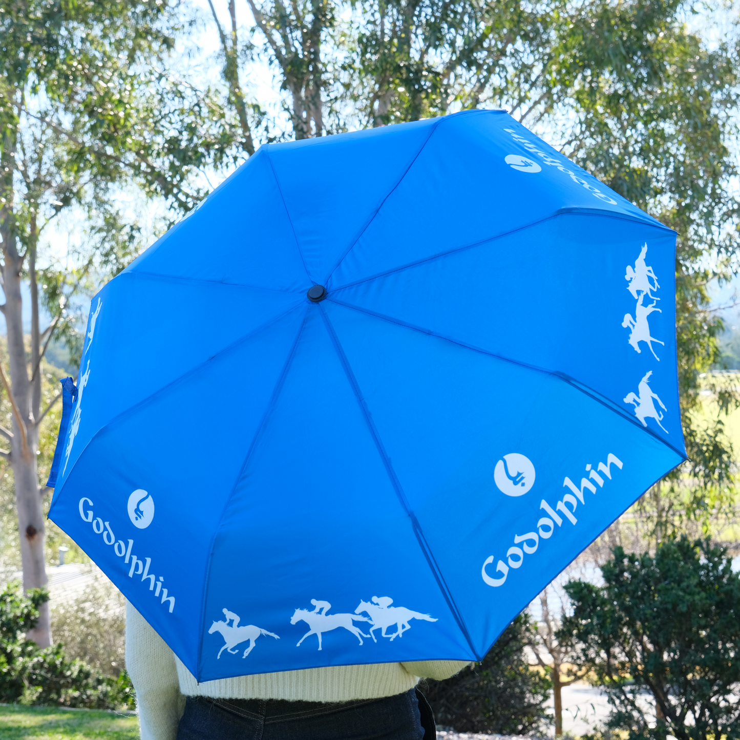 Godolphin Umbrella